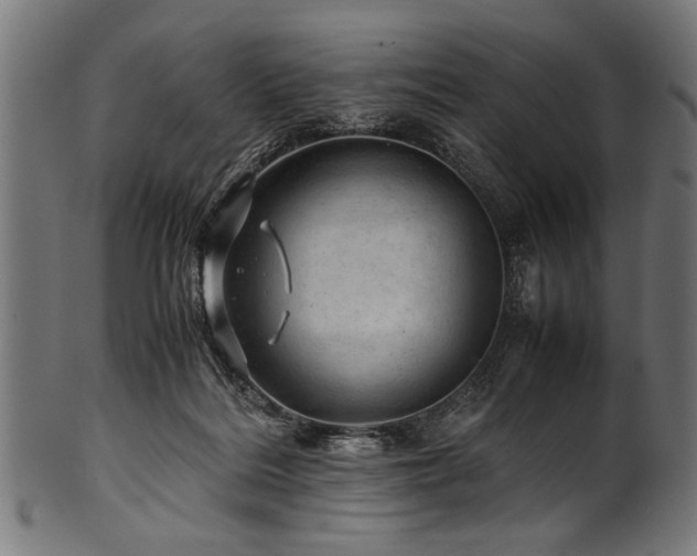 X0000100950220200806241511