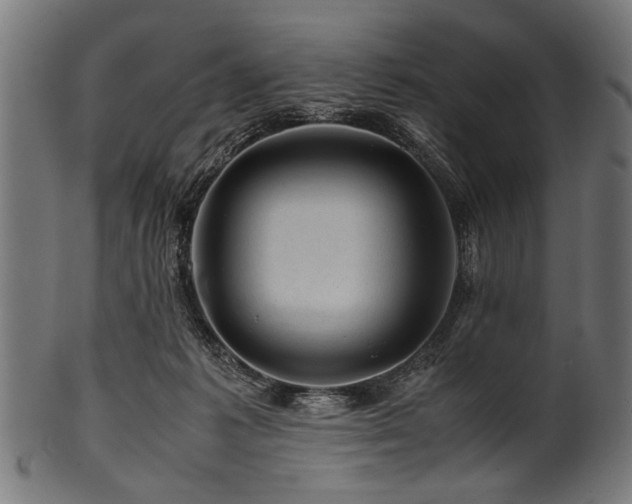 X0000100950221200806241511