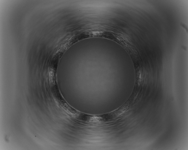 X0000100950222200806241511