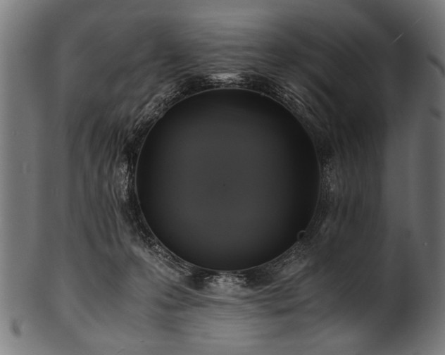 X0000100950223200806241511