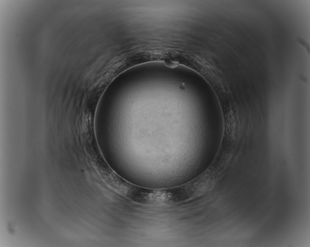 X0000100950225200806241511
