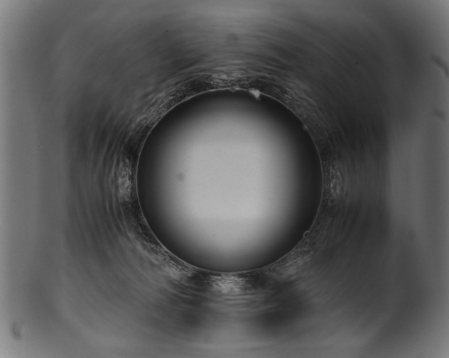 X0000100950226200806241511