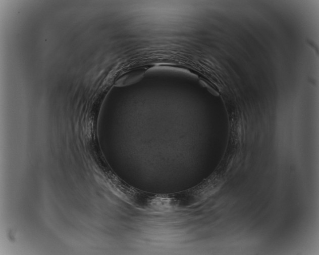 X0000100950227200806241511