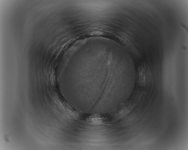 X0000100950228200806241511