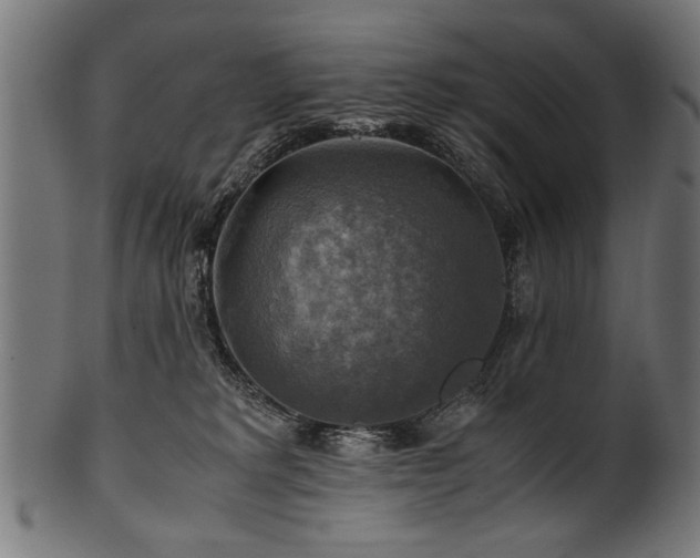 X0000100950229200806241511
