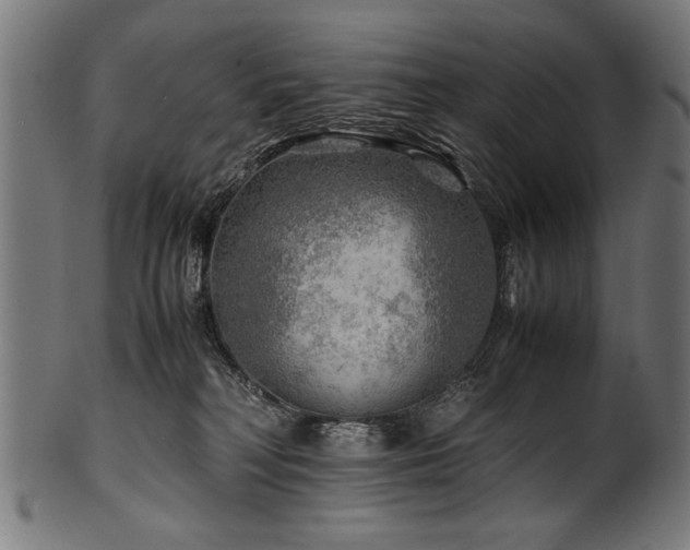 X0000100950230200806241511