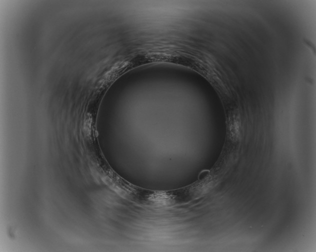X0000100950231200806241511