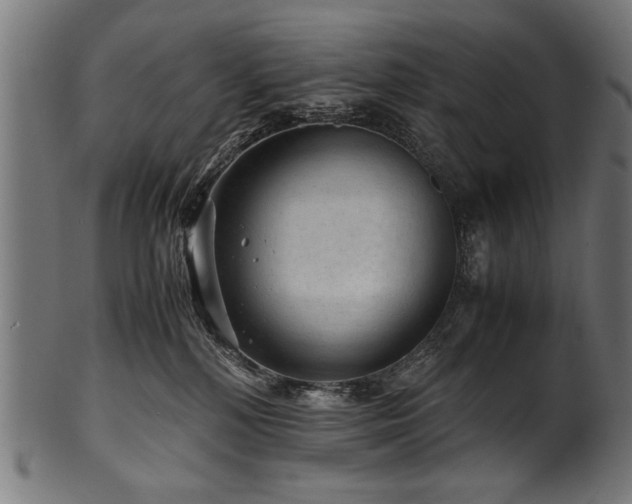 X0000100950232200806241511
