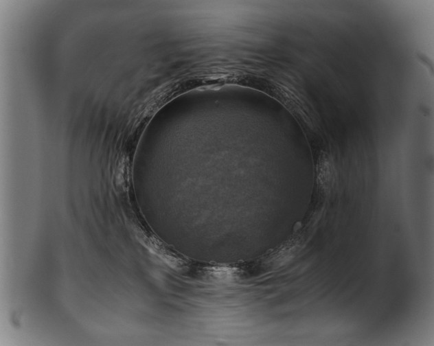X0000100950233200806241511
