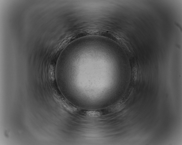 X0000100950234200806241511