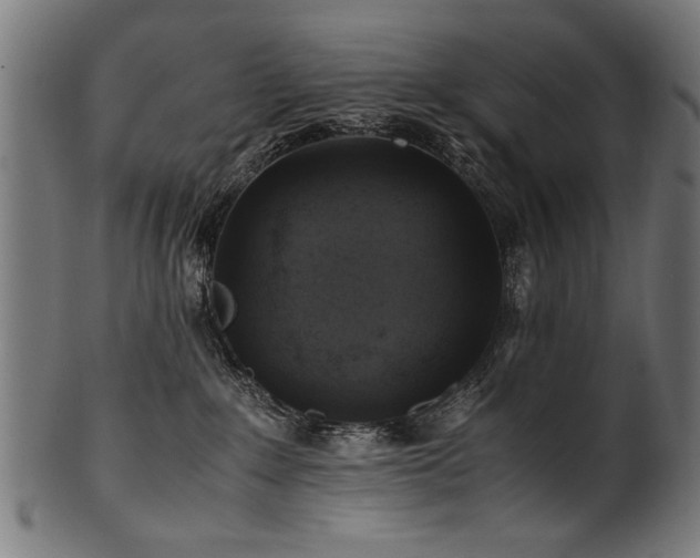X0000100950235200806241511
