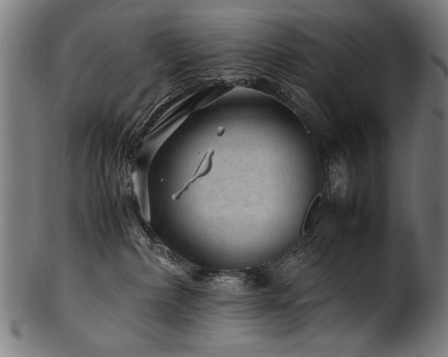 X0000100950236200806241511
