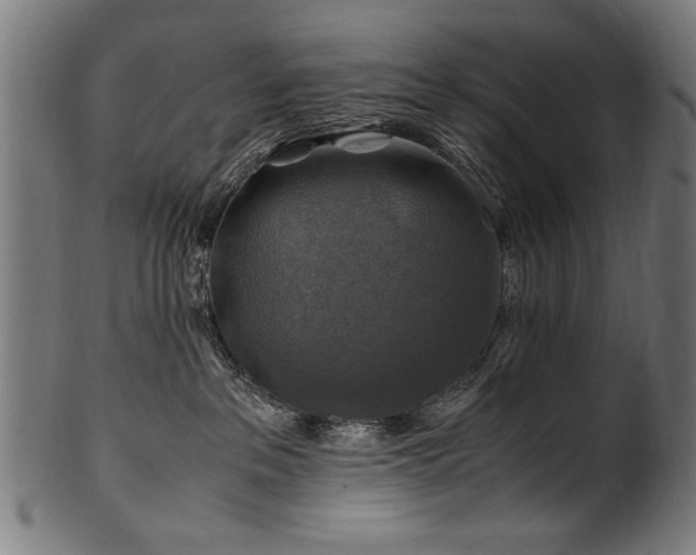 X0000100950237200806241511