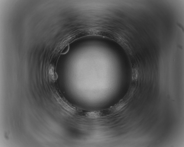 X0000100950238200806241511