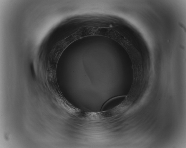 X0000100950239200806241511