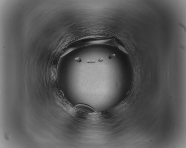 X0000100950240200806241511
