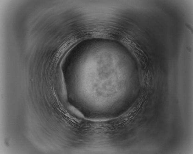 X0000100950241200806241510