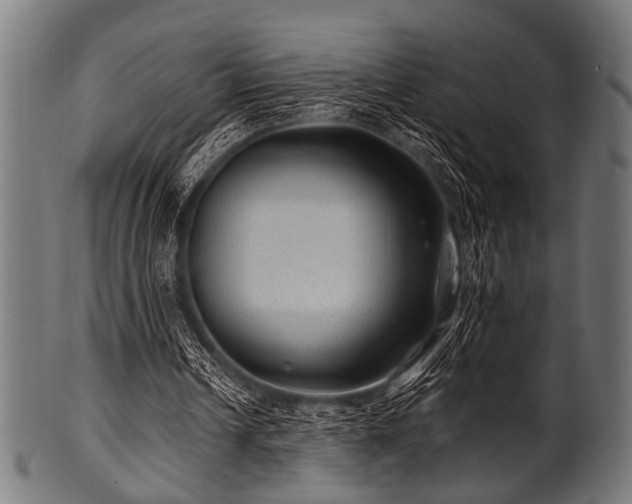 X0000100950242200806241510
