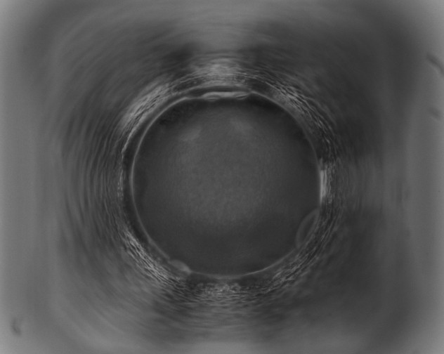 X0000100950243200806241510