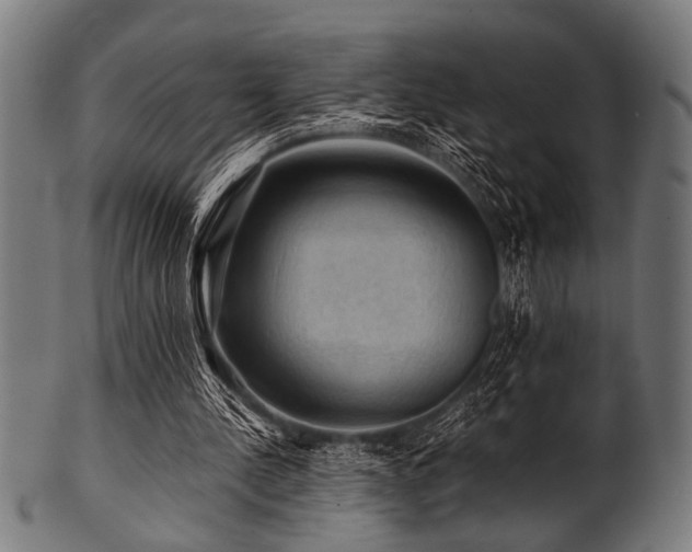 X0000100950244200806241510