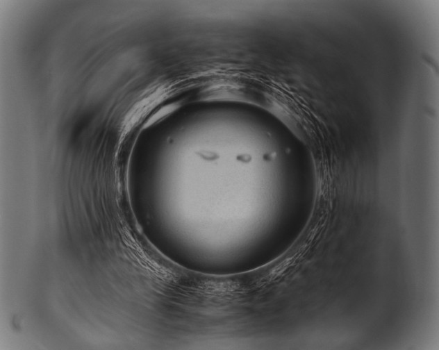 X0000100950245200806241510