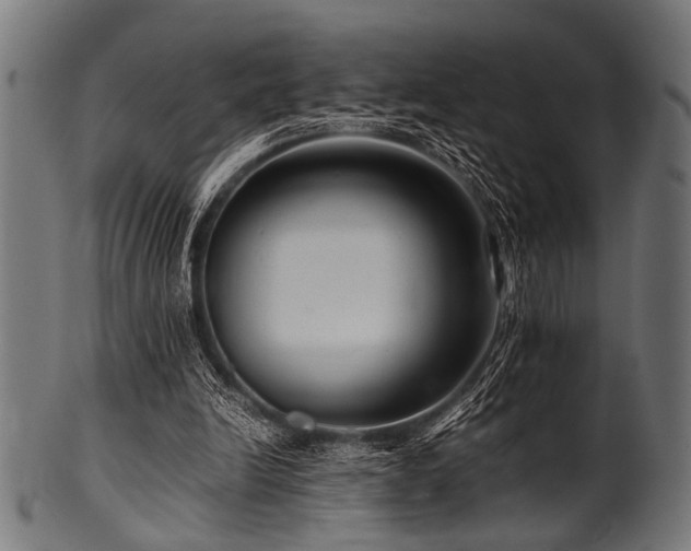 X0000100950246200806241510