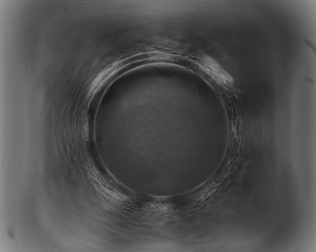 X0000100950247200806241510