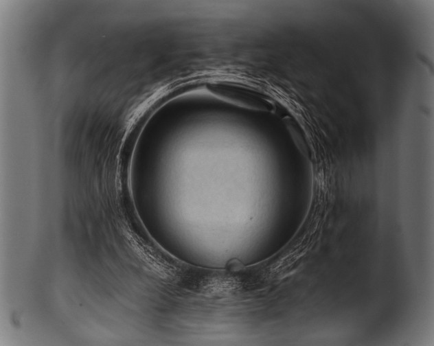 X0000100950248200806241510