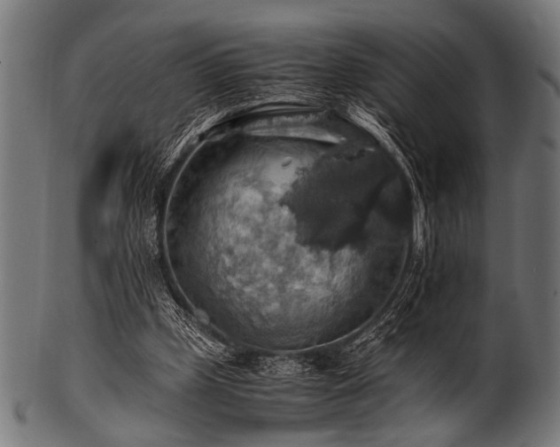 X0000100950249200806241510