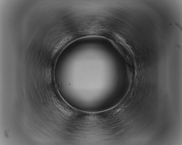 X0000100950250200806241510