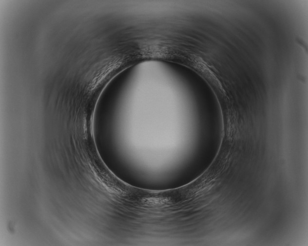 X0000100950251200806241510