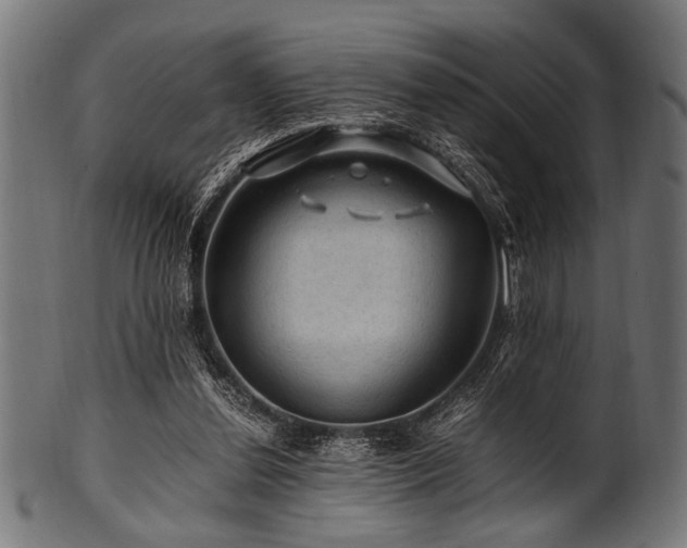 X0000100950252200806241510