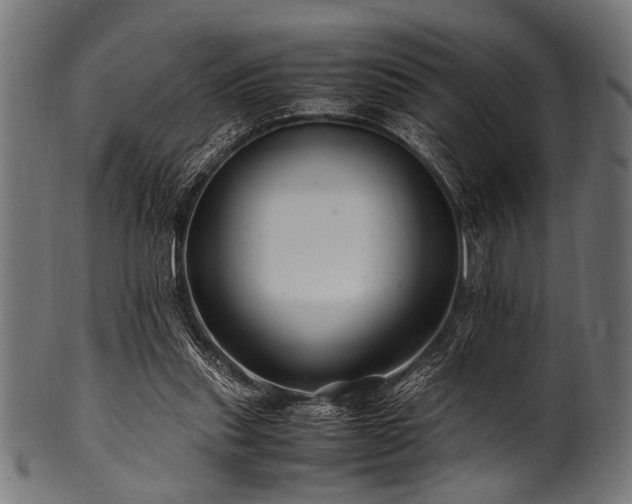 X0000100950253200806241510