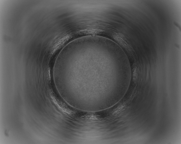 X0000100950254200806241510