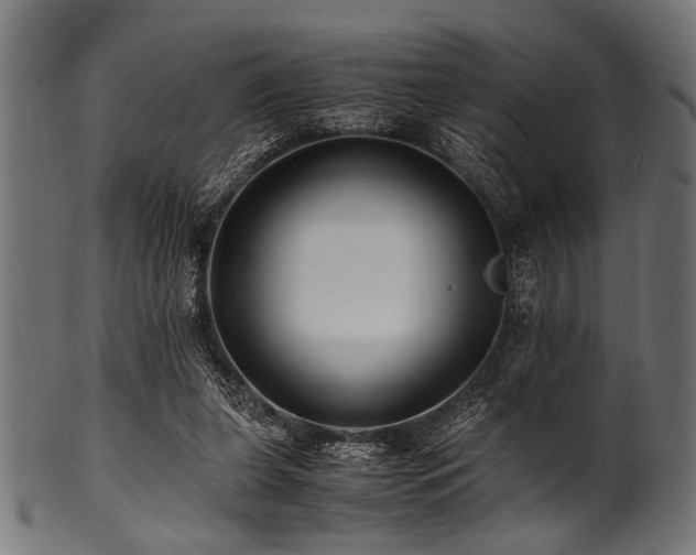 X0000100950255200806241510