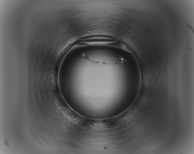 X0000100950256200806241510