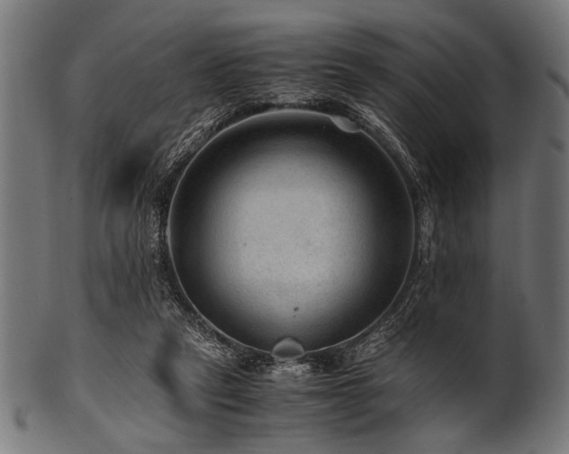 X0000100950257200806241510