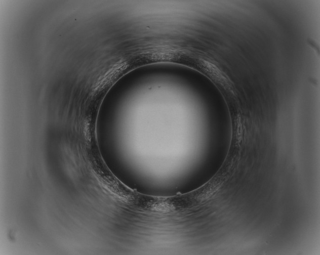 X0000100950258200806241510