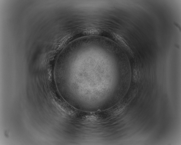 X0000100950259200806241510