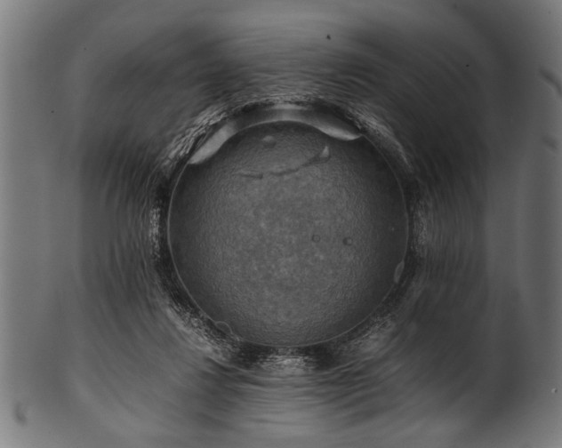 X0000100950260200806241510