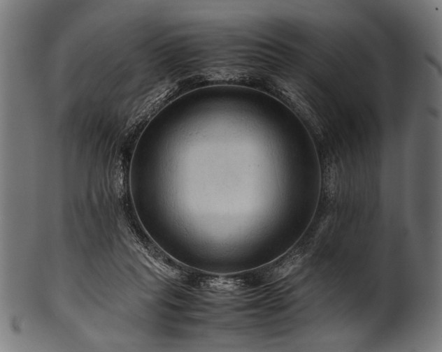X0000100950261200806241510