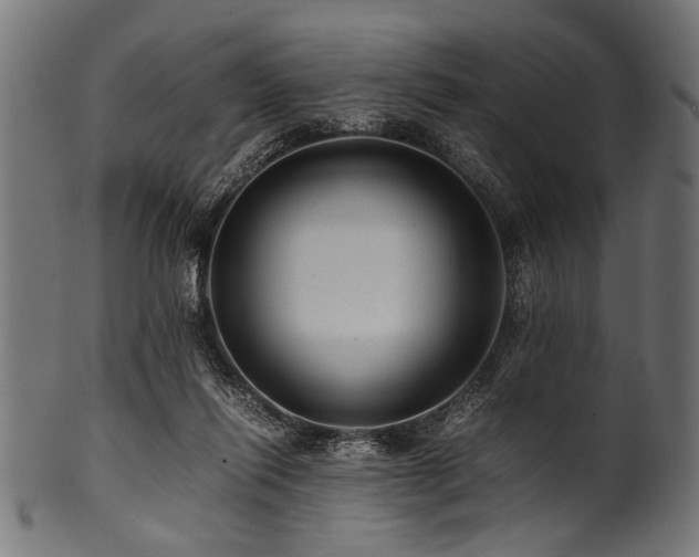 X0000100950262200806241510