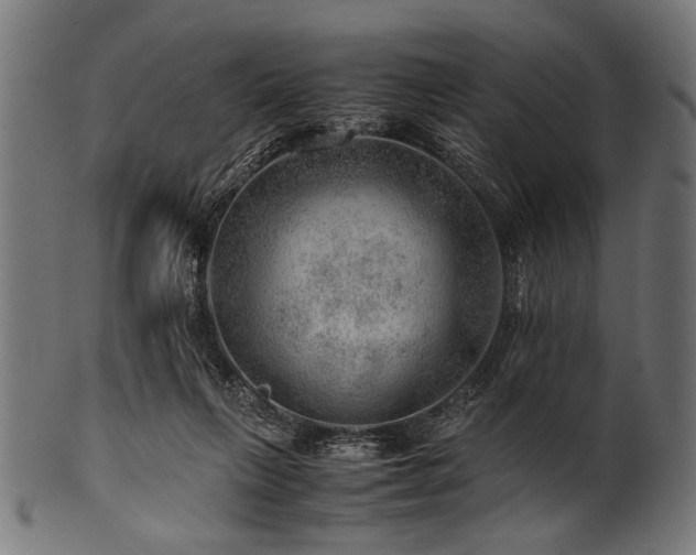 X0000100950263200806241510