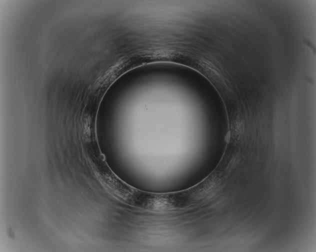 X0000100950264200806241510