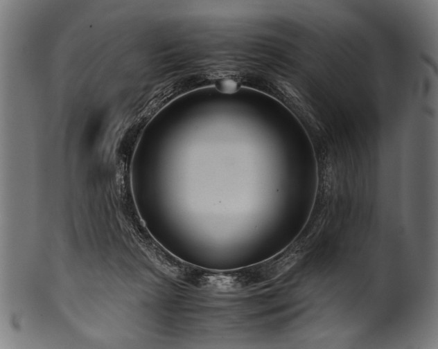 X0000100950265200806241510