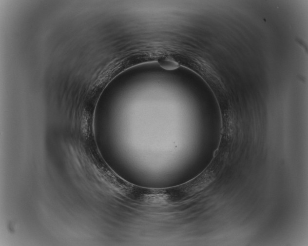 X0000100950266200806241510