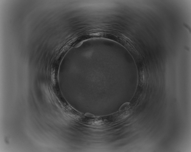 X0000100950267200806241510