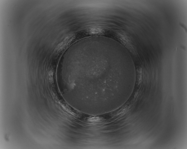 X0000100950269200806241510