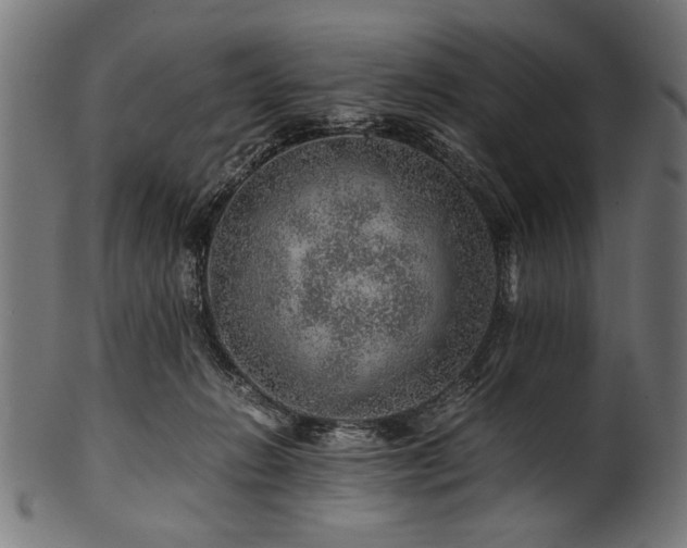 X0000100950270200806241510