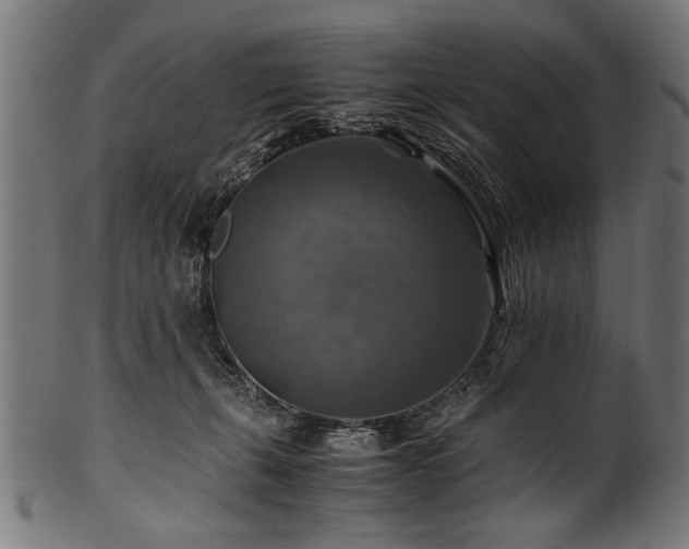 X0000100950271200806241510
